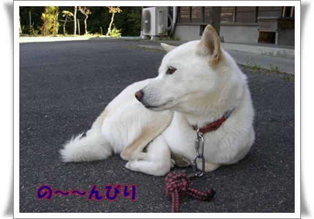 の~~んびり