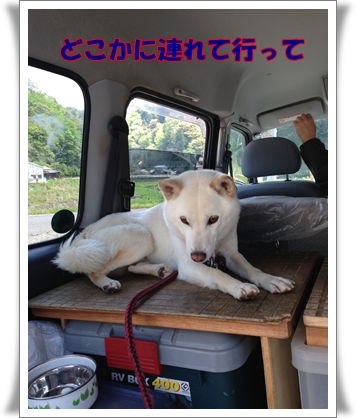 どこかに連れて行って