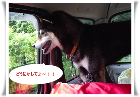 どうにかしてよ~!!