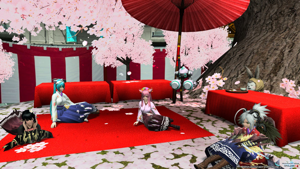 sakura01.jpg