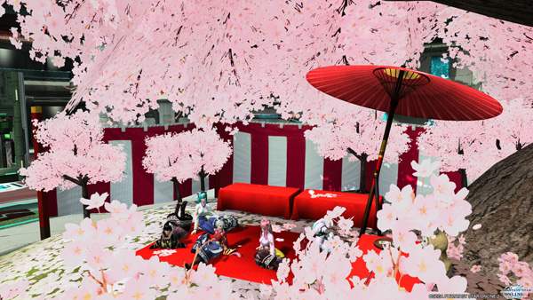 sakura02.jpg