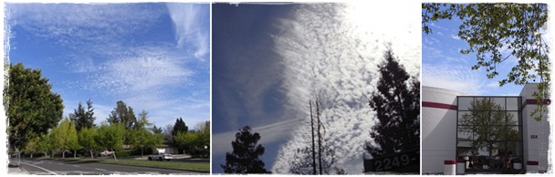 sora_20120504213334.jpg