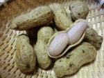 おおまさり剥き