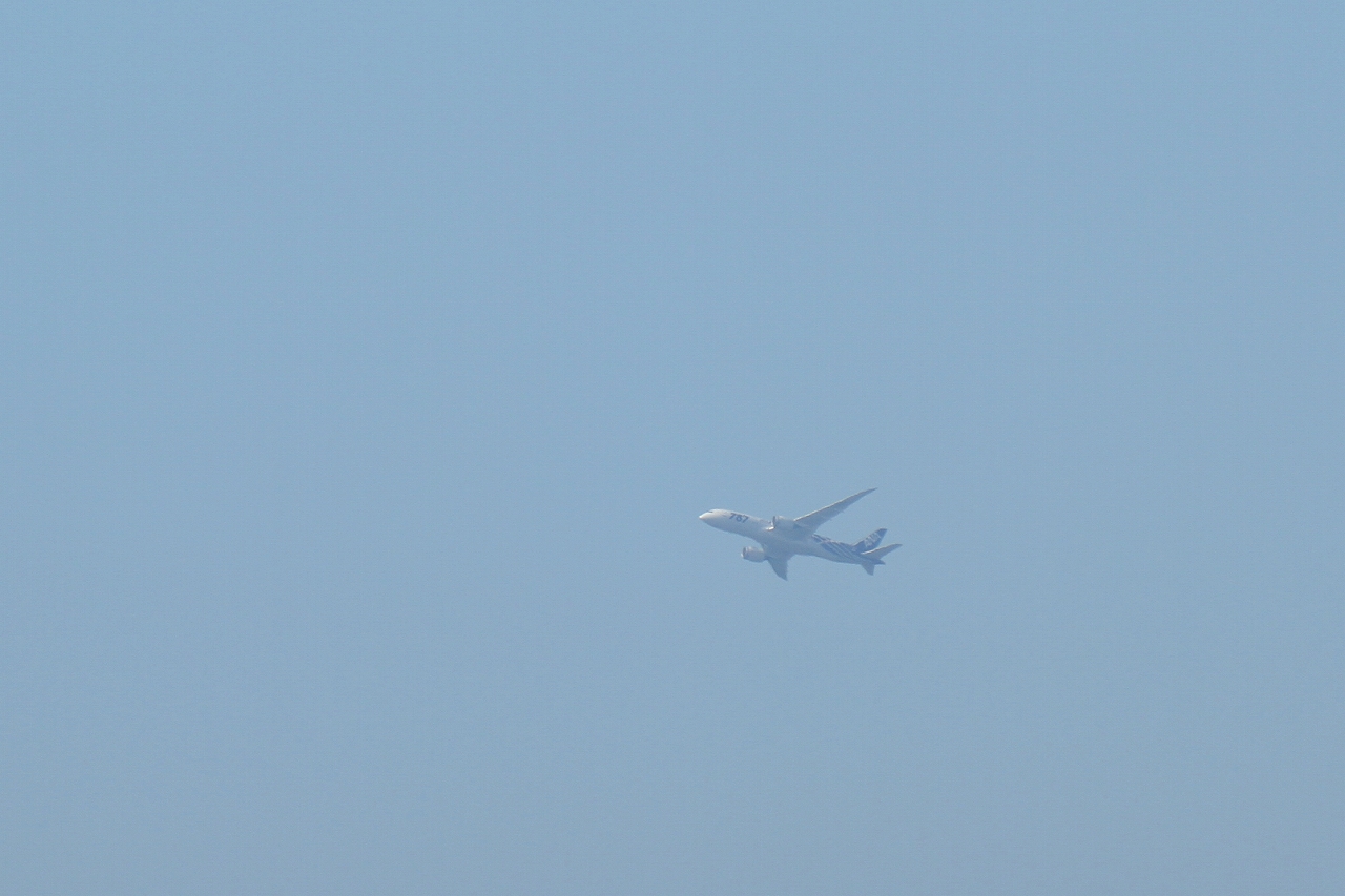 s-DPP_1043.jpg