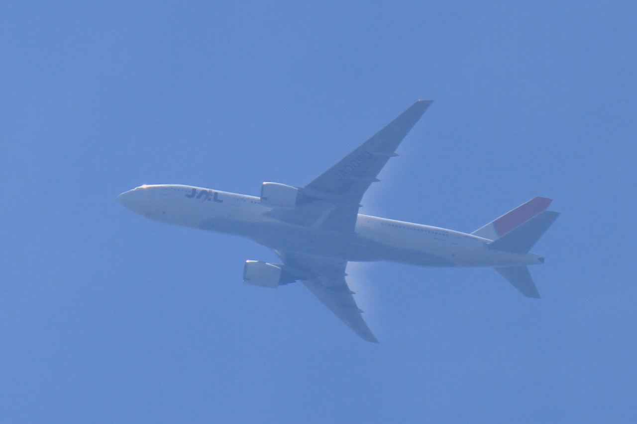 s-DPP_1046.jpg