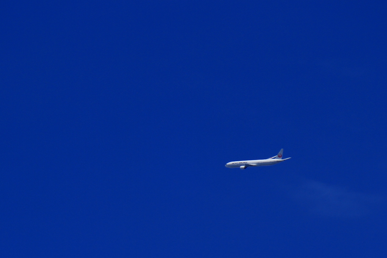 s-DPP_1050.jpg