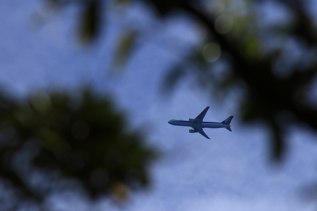 s-DPP_1052.jpg