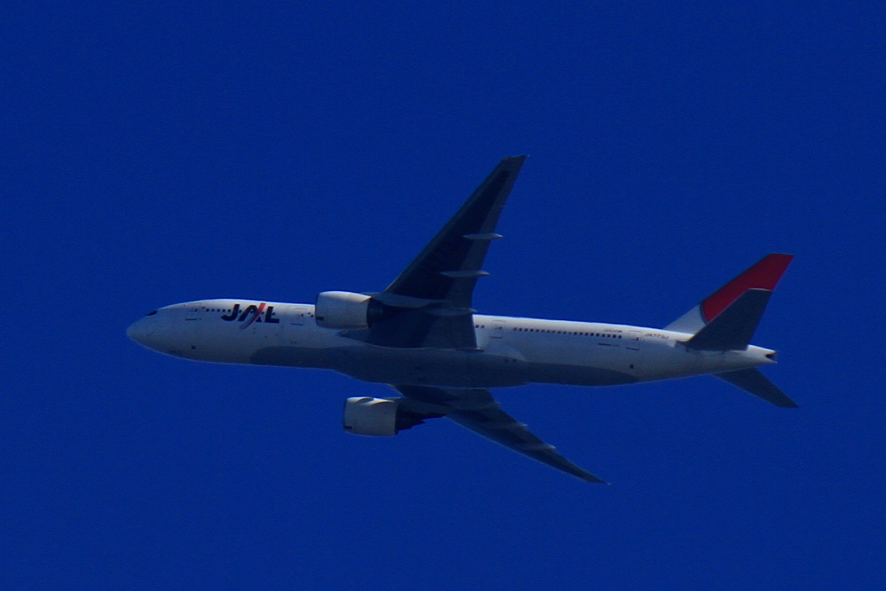 s-DPP_1054.jpg