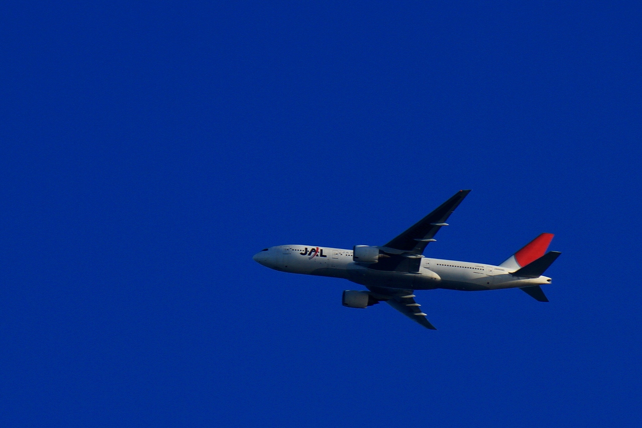 s-DPP_1056.jpg