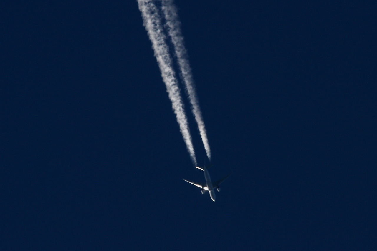 s-DPP_1062.jpg