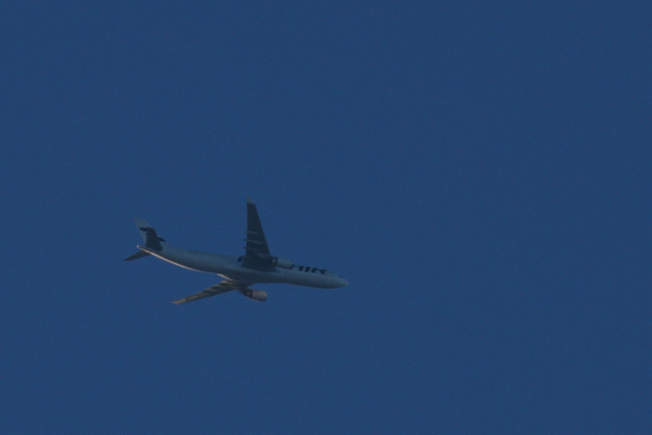 s-DPP_1066.jpg