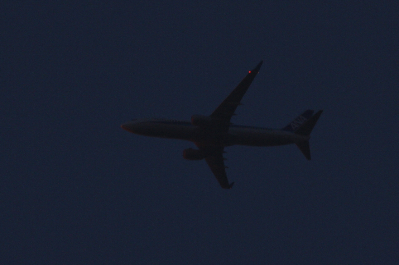 s-DPP_1071.jpg