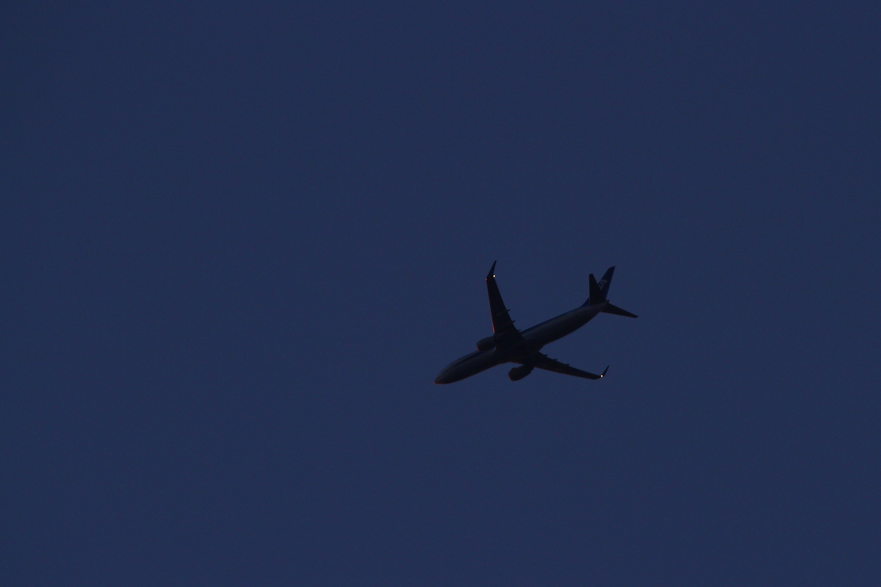 s-DPP_1073.jpg