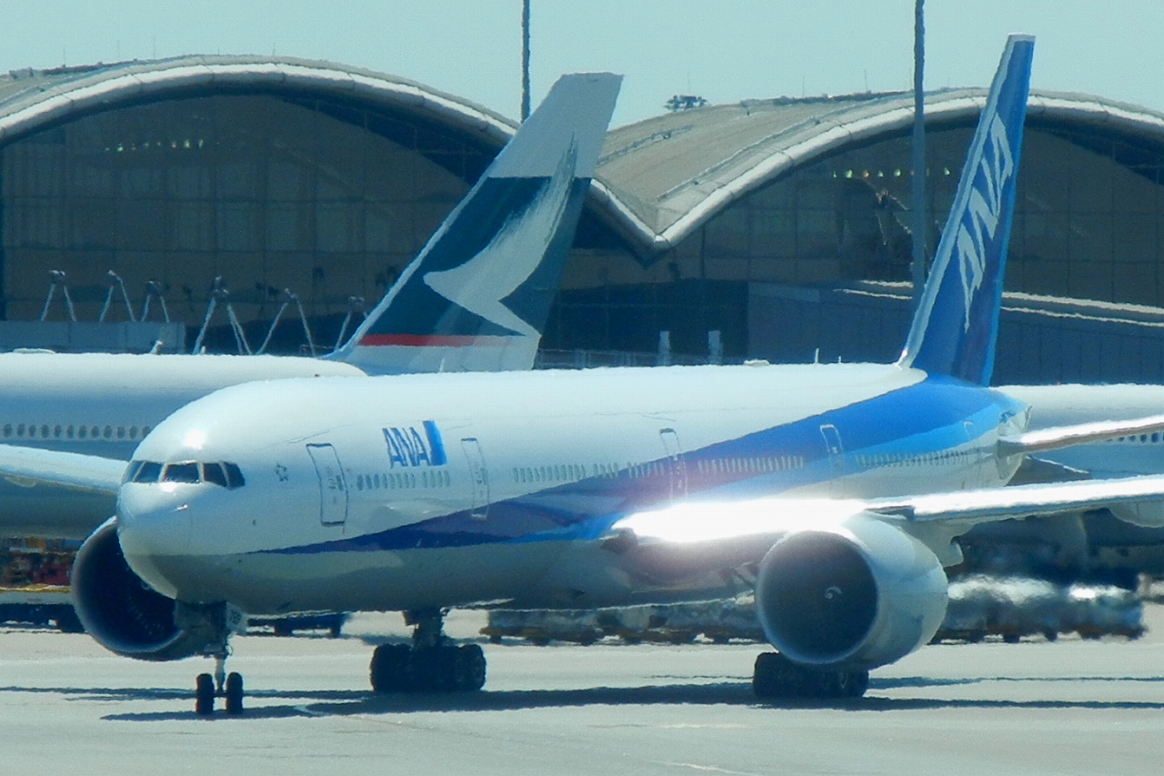 s-DPP_1095.jpg