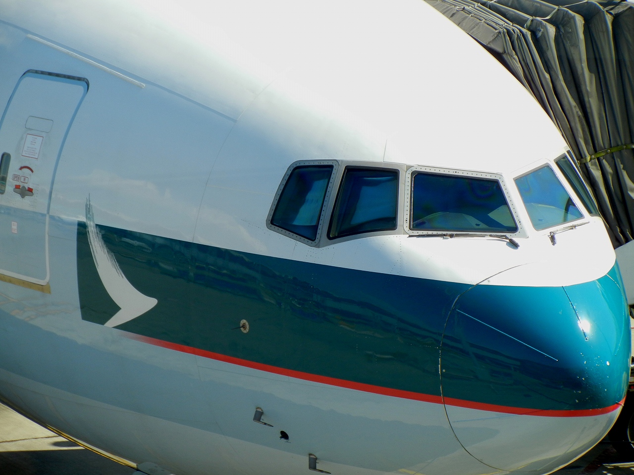 s-DPP_1104.jpg
