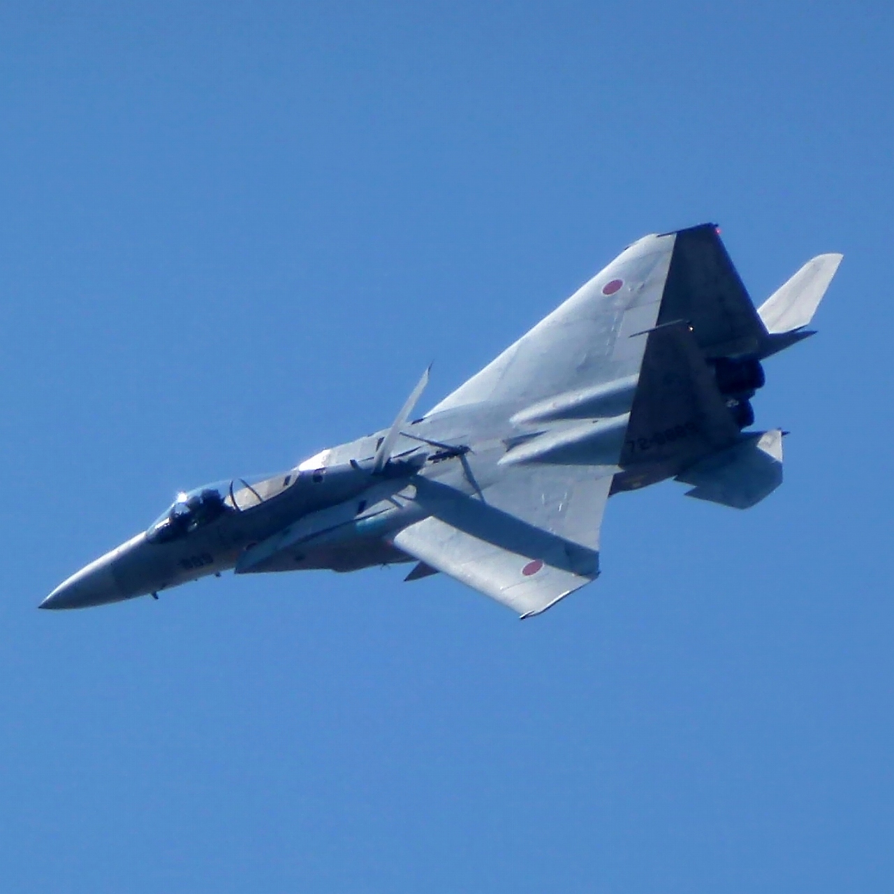 s-DPP_1122.jpg