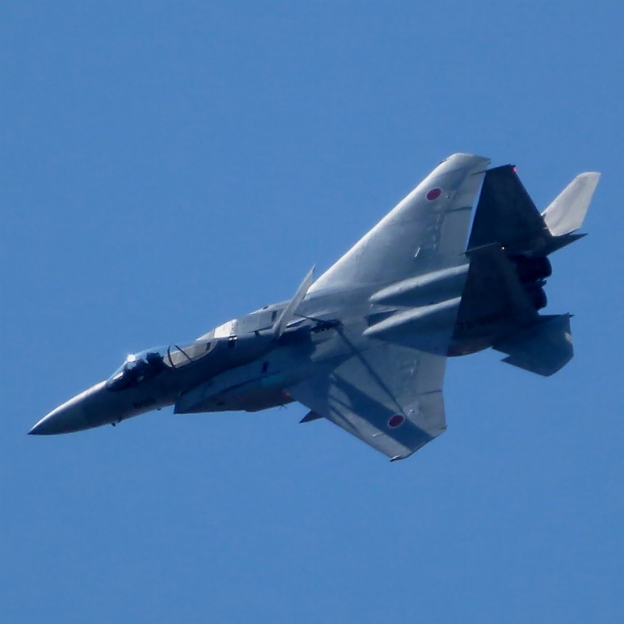 s-DPP_1123.jpg