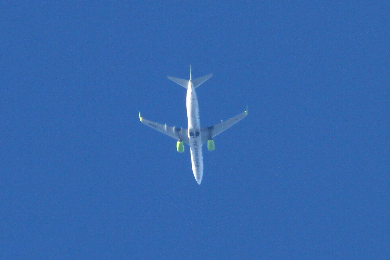 s-DPP_1125.jpg