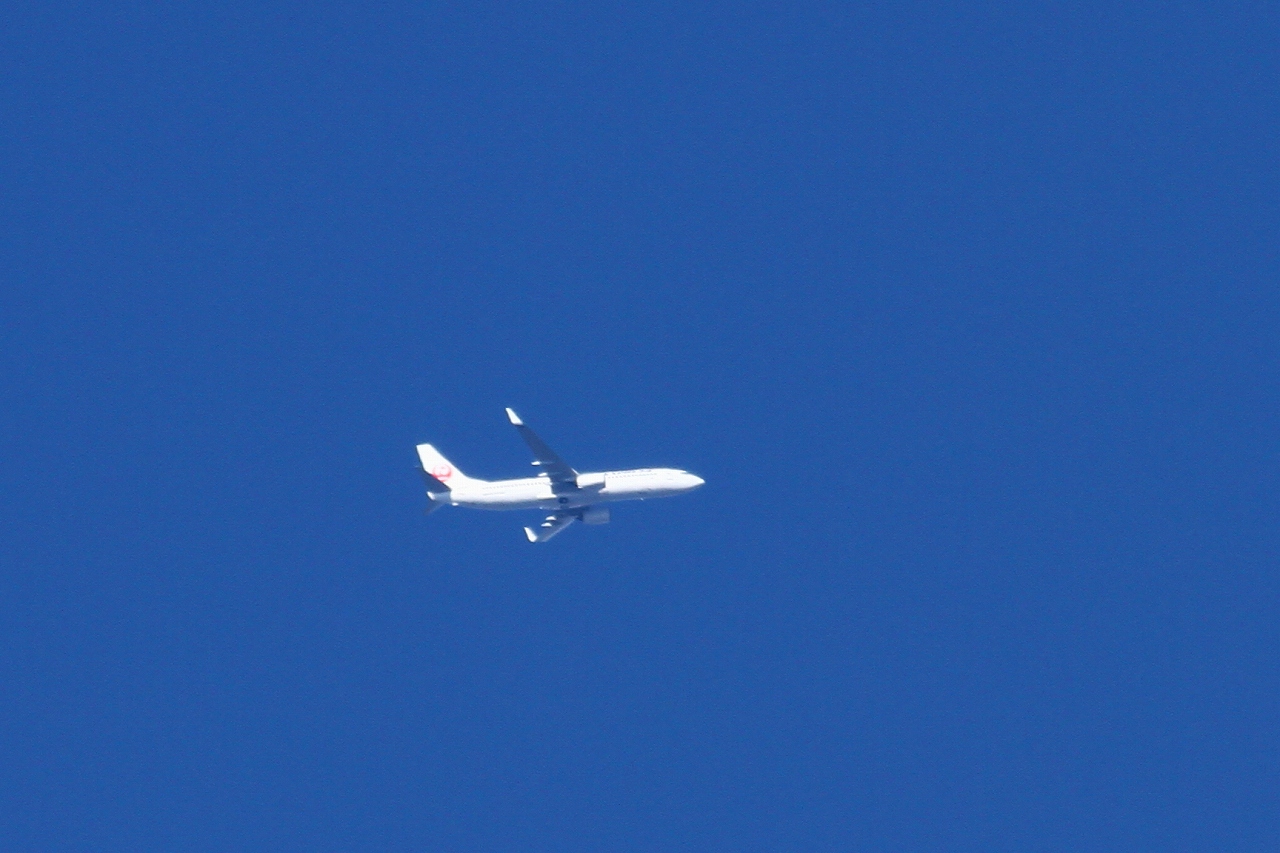s-DPP_1126.jpg