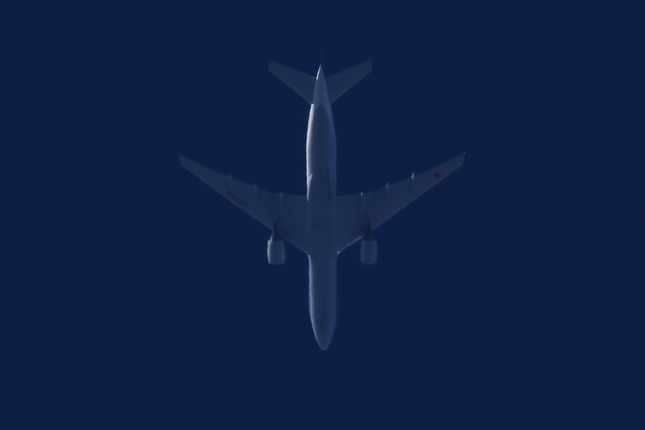 s-DPP_1128.jpg