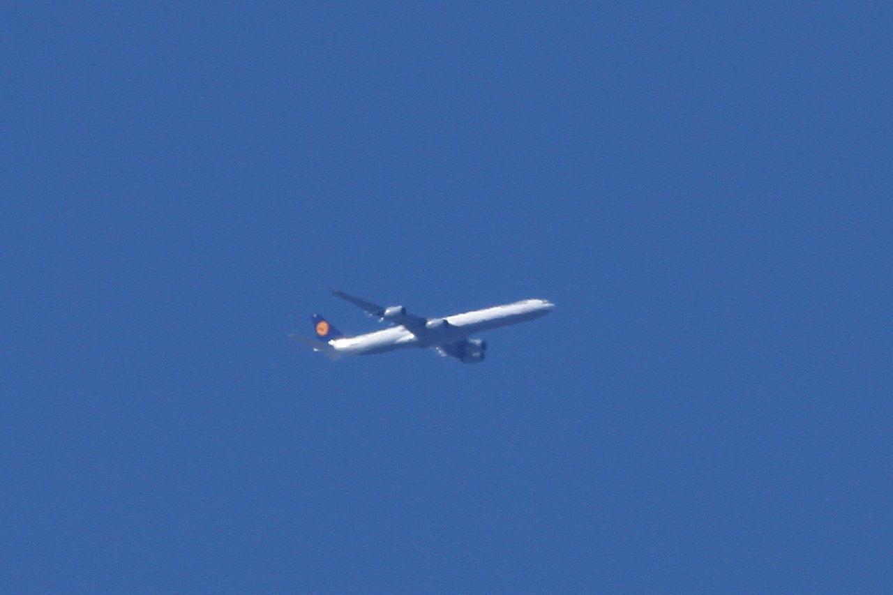 s-DPP_1129.jpg