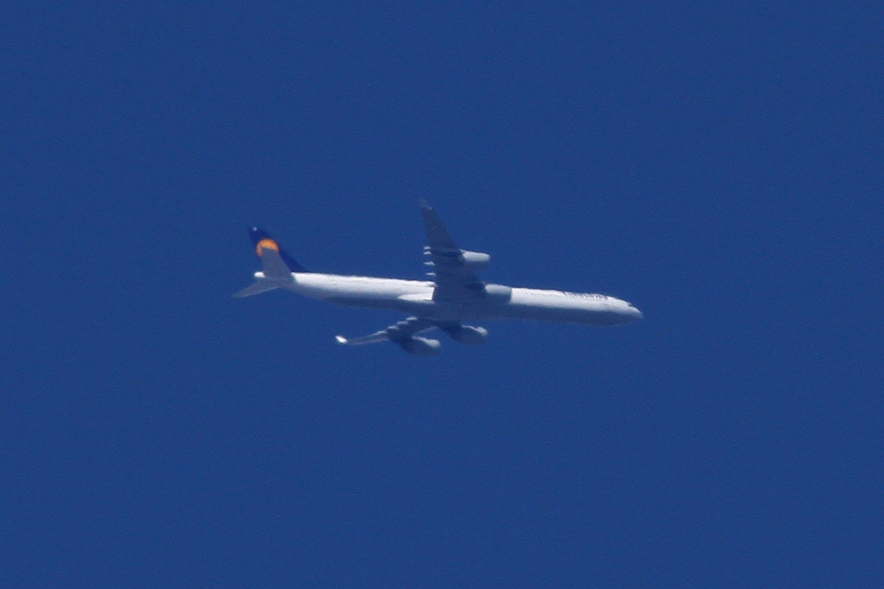 s-DPP_1130.jpg