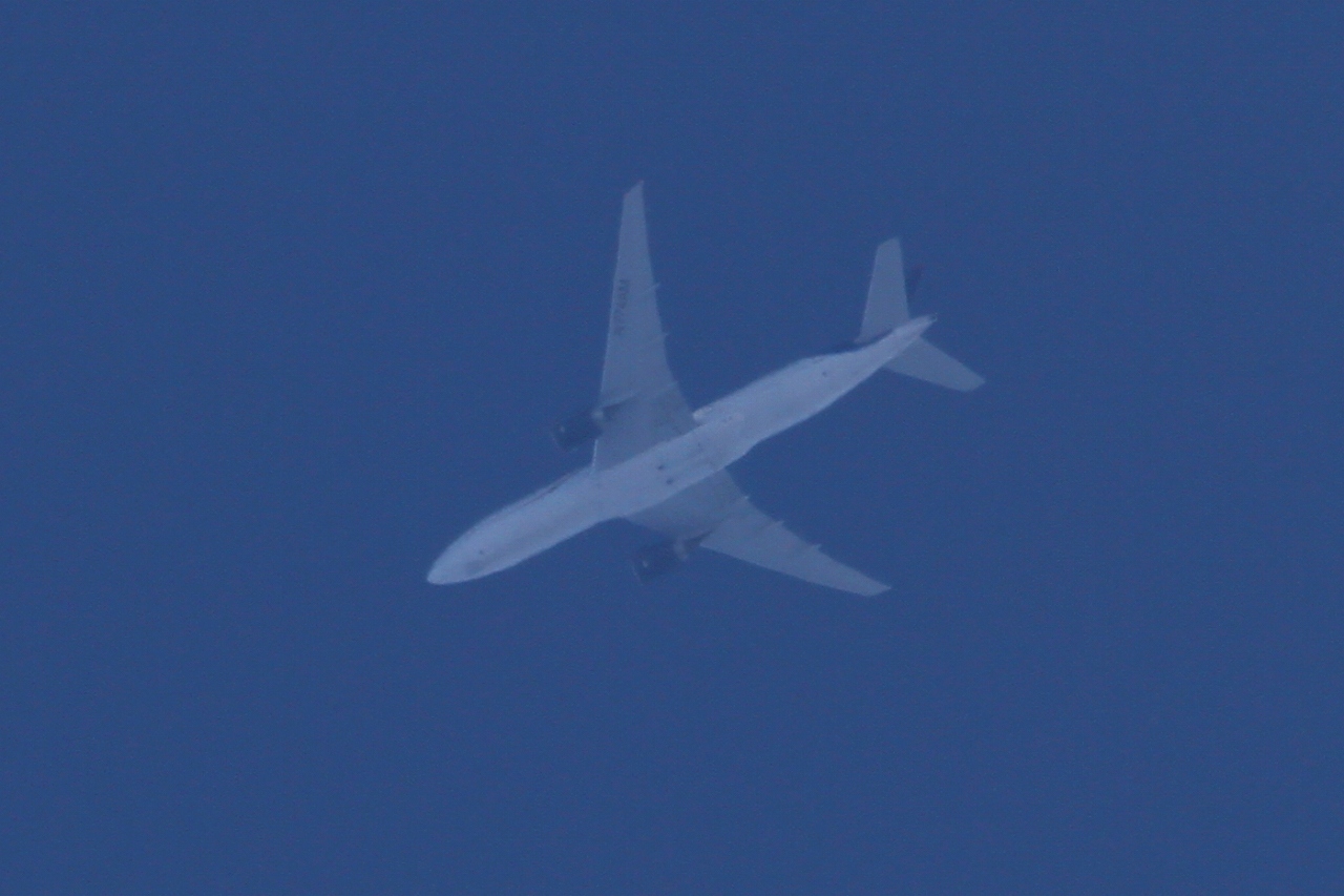 s-DPP_1134.jpg