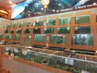 2011:8:23 水槽のある中華料理店1