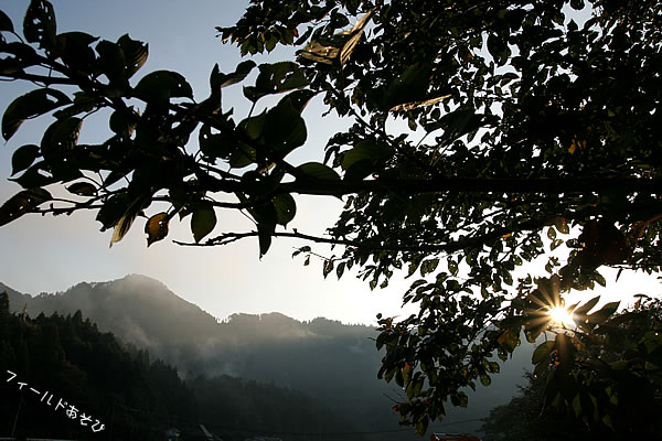 20111015nankou_016.jpg
