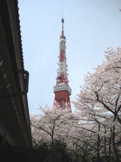 画像 688