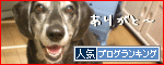 人気ブログランキングへ