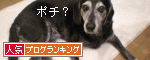人気ブログランキングへ
