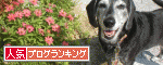 人気ブログランキングへ