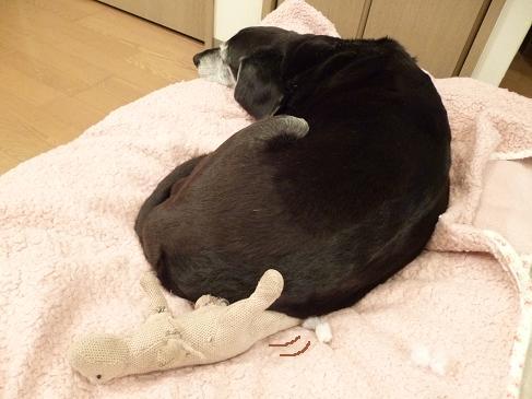 ねむたい・・・