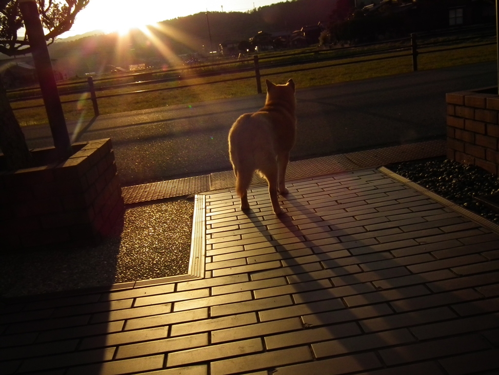 DSCF1203.jpg