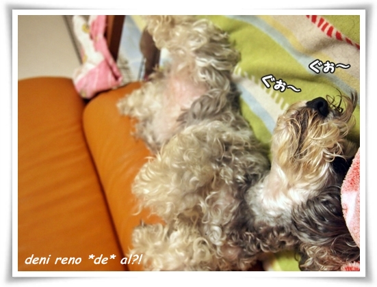 1005_1a.jpg