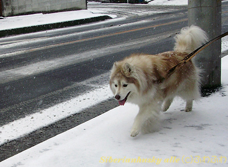 20140208-01.jpg