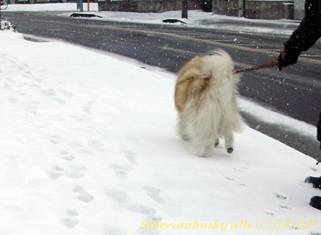 20140208-03_20140208120024d2c.jpg
