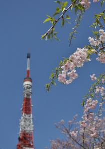 20120412増上寺