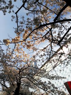 20130328目黒川