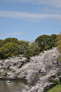 20130326千鳥ヶ淵