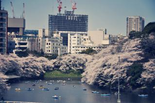 20130326千鳥ヶ淵