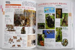 小学館 こども大百科
