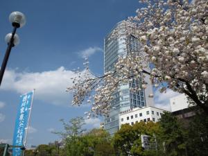 20120418芝東照宮