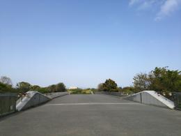 20130416昭和記念公園