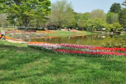 20130416昭和記念公園