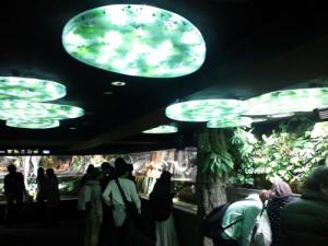 サンシャイン水族館