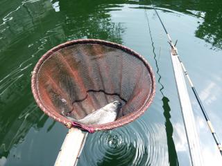 麻布 釣り堀 衆楽園