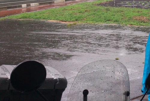 雨の日は嫌ですねー。