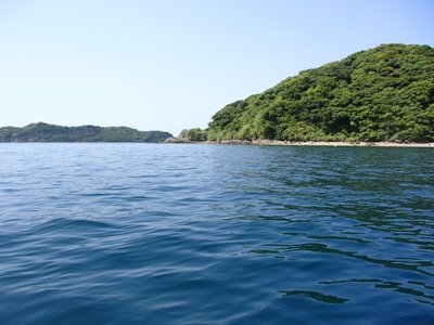 P5200400.jpg